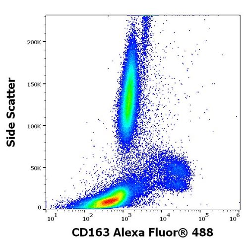 Anti-CD163 Monoclonal Antibody (Clone:GHI/61) Alexa Fluor 488